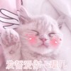 萌宠 猫星人 发誓爱你一辈子 爱你 呆萌 可爱