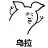 暴漫 搞笑 雷人 斗图 乌拉