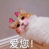朋友圈配图 朋友圈截图 朋友圈