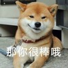 萌宠 汪星人 那你很棒哦 鄙视 搞怪 逗