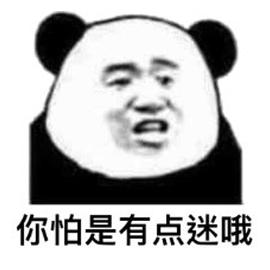 迷 熊貓頭