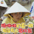 闺蜜2 陈意涵 悄咪咪的看一眼 发红包 soogif soogif出品