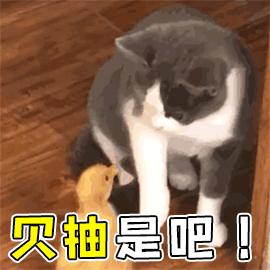 抽陀螺GIF表情图_抽窑子动态_抽陀螺GIF动表情包逛陀螺图片