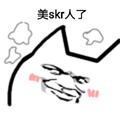 skr 美skr人了