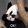 熊猫 ok 可爱 呆萌