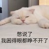 萌宠 猫星人 别说了 我都困得眼睁不开了 搞怪 逗