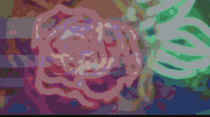 灯光 花 女孩 对视