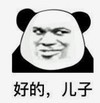 暴漫 文字表情包 好的儿子 搞笑 逗 沙雕