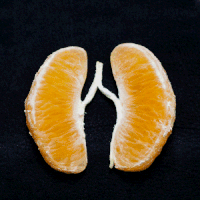 橘子 视觉 胃 橙色