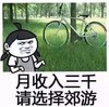 暴漫 文字表情包 月收入三千请选择郊游 搞笑 沙雕 魔性