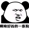 熊猫头 搞笑 雷人 斗图 啊呦好凶的一条狗
