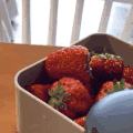 萌宠 猫星人 草莓 吃货 搞怪 逗