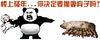 熊猫人 逗比 二货 骚年