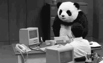 熊猫 捣乱 办公室 工作