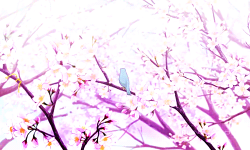 树枝 小鸟 飞走 花瓣