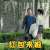 红包 牵手 奔跑 红包来了 come