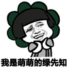 卖萌 可爱 逗比 我是萌萌的绿告知
