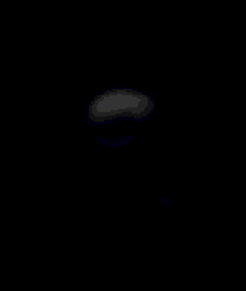 骷髏 可怕 驚悚 恐懼