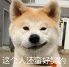 萌宠 汪星人 这个人还蛮好笑的 无奈 呆萌 可爱