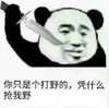 暴漫 文字表情包 你只是个打野的凭什么和我抢野 搞笑 逗 沙雕