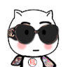 猫咪 墨镜 节奏感 凤