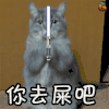 萌宠 猫 喵星人 你去屎吧 soogif soogif出品