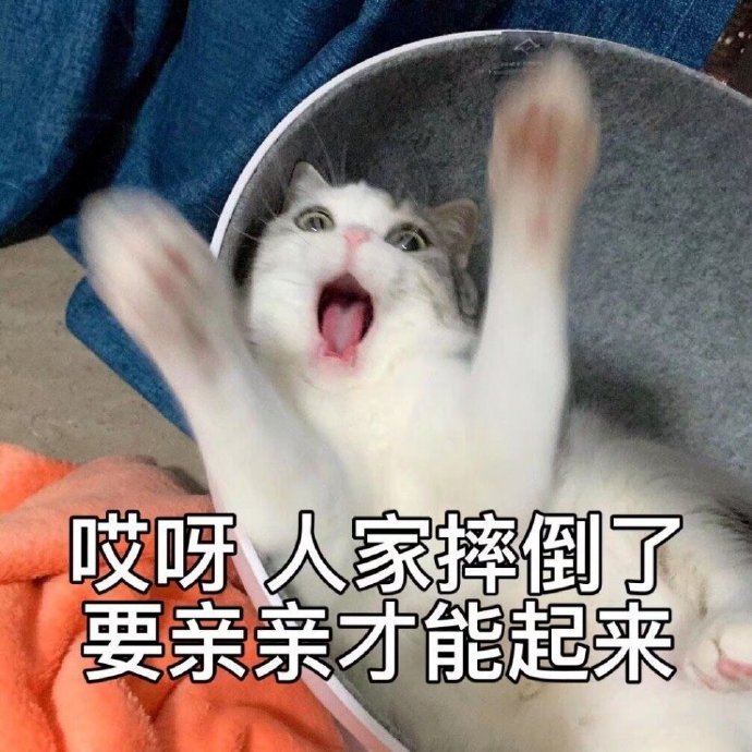 萌宠 猫星人 哎呀 人家摔倒了 可爱 呆萌