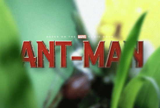 有生气的 标志 deviantART skinnyglasses Antman 蚁人