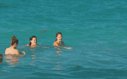 Around&the&world Punta&Cana&in&4K 多米尼加共和国 海洋 游泳 纪录片 美女 蓬塔卡纳 风景