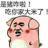 是猪咋啦！吃你家大米了！ 萌猪   生气   自豪   粉红