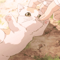 猫咪 淘气 调皮 手掌