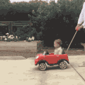 萌娃 开车 狗狗 搞笑