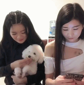两个美女 玩手机 喂狗狗吃饼干 损友