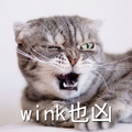 猫咪 可爱 搞笑 雷人 斗图 wink也凶