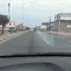 马路 汽车 蜥蜴 房子