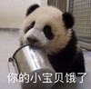 萌宠 熊猫 你的小宝贝饿了 我饿了 呆萌 可爱