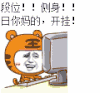 老虎 玩电脑 段位 开挂