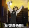 二次元 装逼 无语 作死 别问我静静是谁
