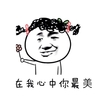 最美 搞笑 斗图 滑稽