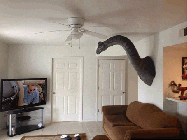 电视 恐龙 沙发 白色的门