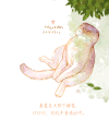 小猫 睡觉 炎热 困倦