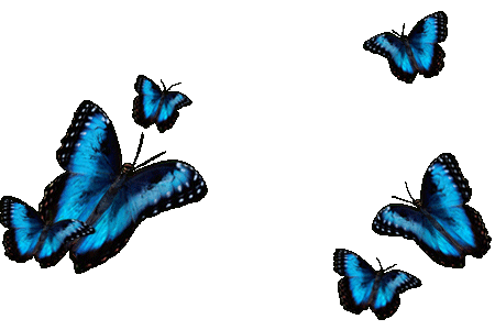 蝴蝶 卡通 翅膀 蓝色