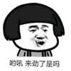 呦吼 来劲了是吗 蘑菇头 金馆长