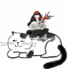 背景 文艺 清新 猫咪 可爱