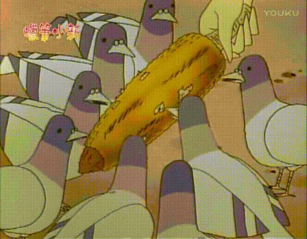 蜡笔小新 鸽子 吃玉米 观看