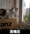 呆萌 可爱 咪星人 遗嘱症是什么病