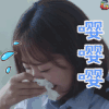 警犬来了 杨蓉 何木棉 嘤嘤嘤 soogif