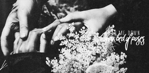 黑白 握手 野花