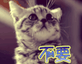 拒绝 猫 不要