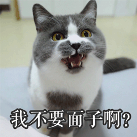 猫 面子 生气